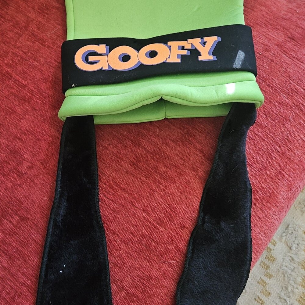Goofy hat from Disneyland